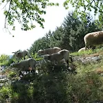 Casa de Férias Norpech