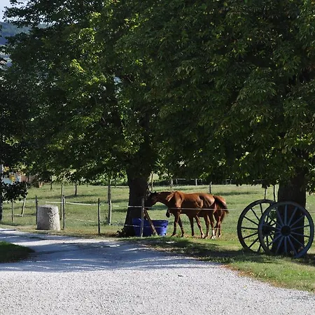 Norpech Hébergement de vacances Penne-dʼAgenais