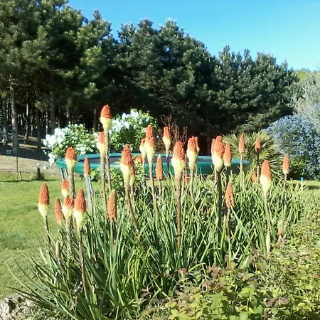 Norpech Penne-dʼAgenais