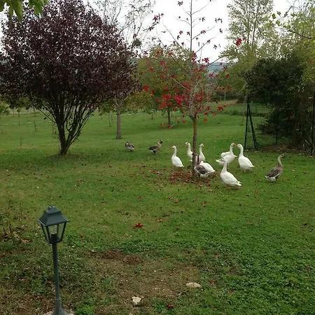 Norpech Hébergement de vacances