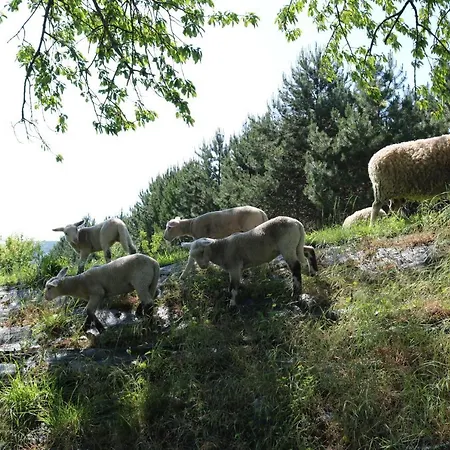 Hébergement de vacances Norpech