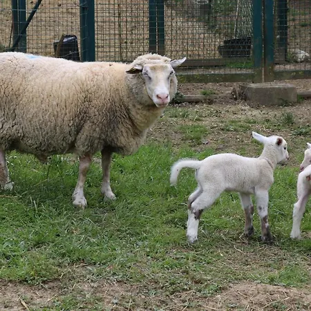 Norpech Hébergement de vacances