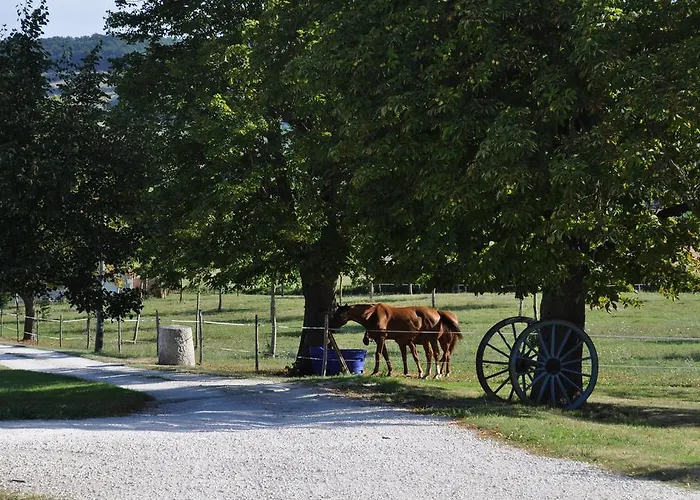 Norpech Prázdninový dům Penne-dʼAgenais