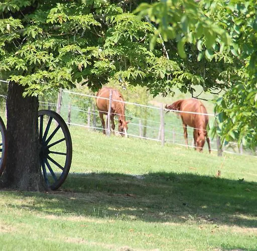 Prázdninový dům Norpech *