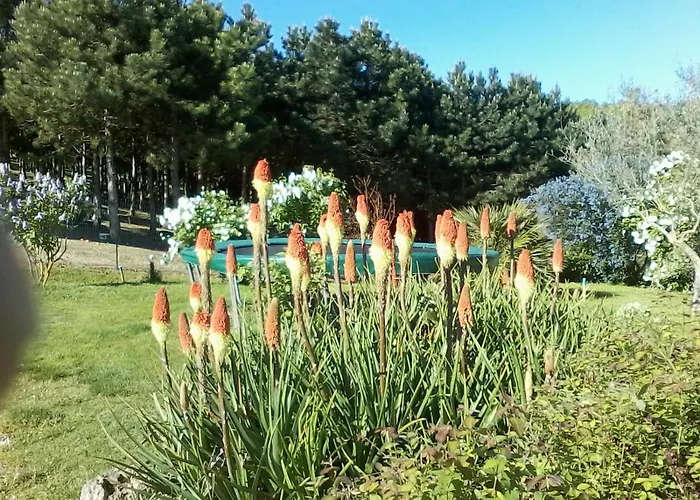 Norpech Penne-dʼAgenais