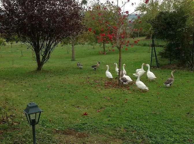 Norpech Prázdninový dům