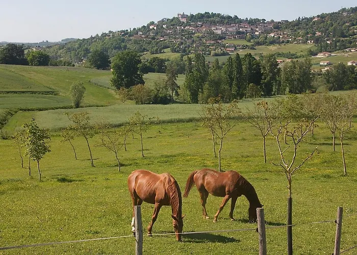 Norpech Casa de Férias *