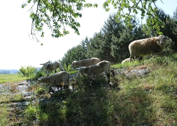 Prázdninový dům Norpech